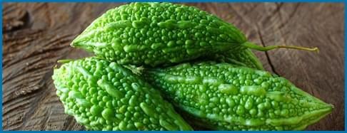Bitter Melon